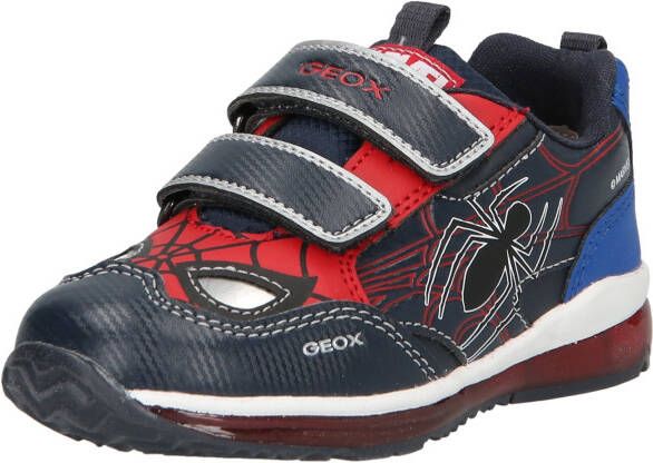 Geox Sneakers