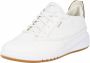 Geox Sneakers van leer model 'Aerantis' - Thumbnail 3