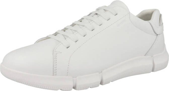 Geox Sneakers laag 'U Adacter A'