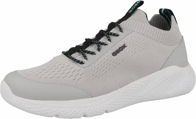 Geox Sneakers ' Sprintye'