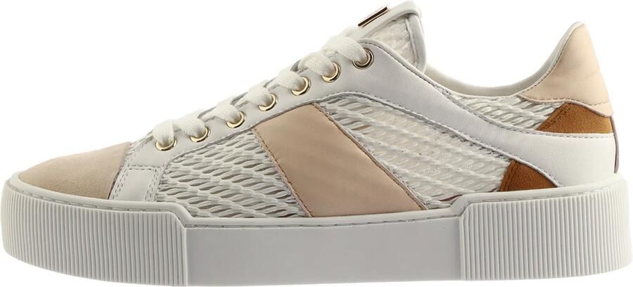 Högl Sneakers laag 'Jimmy' kastanjebruin lichtbruin natuurwit