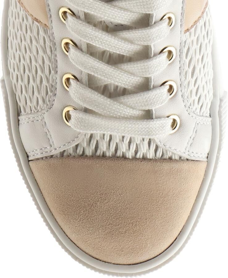Högl Sneakers laag 'Jimmy' kastanjebruin lichtbruin natuurwit - Foto 2