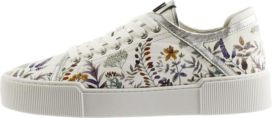 Högl Sneakers laag 'STEVE' gemengde kleuren