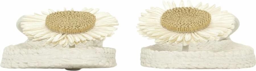 ILSE JACOBSEN Teenslippers Dames Cheerful16f Maat: 36 Materiaal: Rubber Kleur: Beige - Foto 16