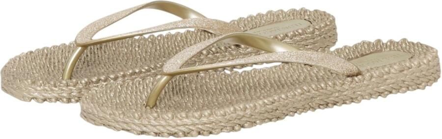 Ilse Jacobsen Vrouwen Rubber Slippers Damesschoenen Teenslipper Cheerful01 Goud - Foto 11