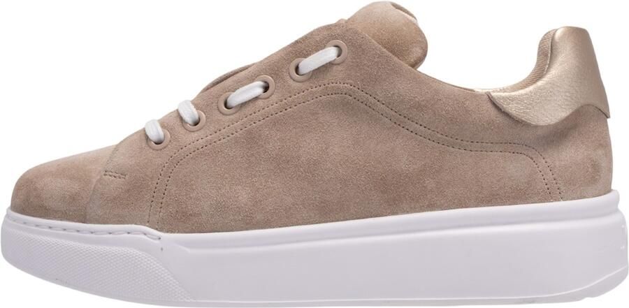 Joop Damen Sneaker Velluto Misto Mascha