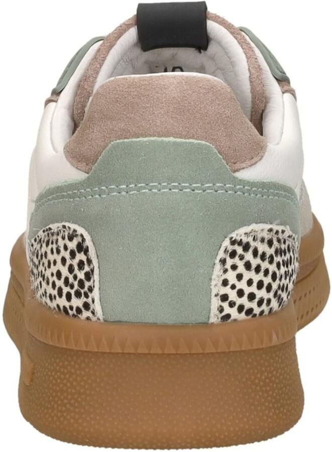 Maruti Yale Suede sneakers groen Wit Leer Lage sneakers - Foto 5
