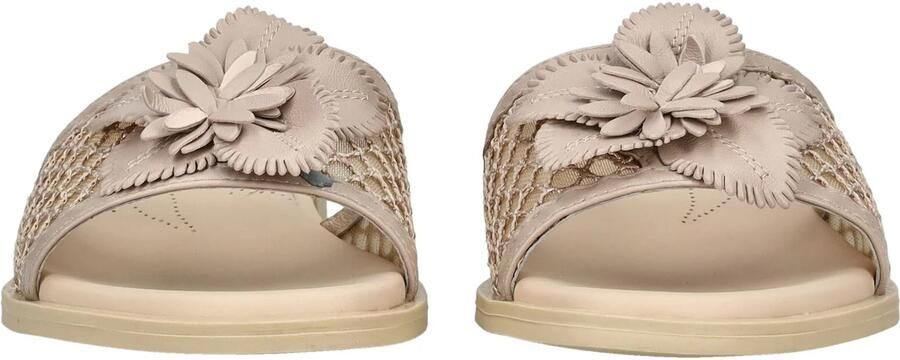 NeroGiardini Slippers Pandora Nappa T.Palladium Net Roze Tr Accra 592 Be Fashion Wear Vrouwen - Foto 5