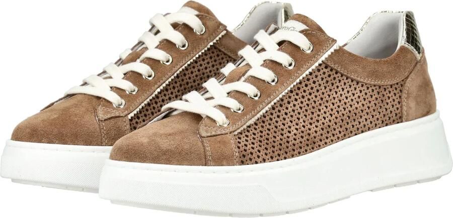 NeroGiardini Sneaker Velour Blade Platino T.Brill 6074 T Fashion Wear Vrouwen - Foto 5