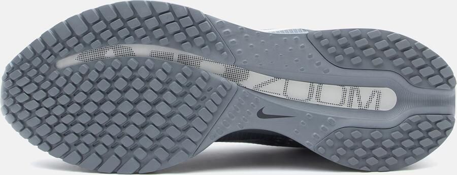 Nike Hardloopschoenen voor heren (straat) Pegasus Premium Grijs- Heren Grijs - Foto 7