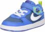 Nike Court Borough Low 2 Lil Fruits Schoenen voor baby's peuters Blauw - Thumbnail 3