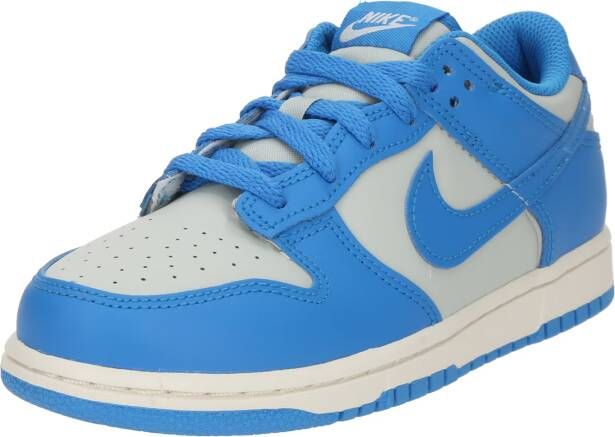 Nike Sportswear Sneakers 'Dunk'