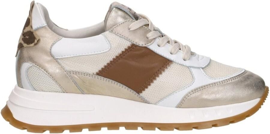 Piedi Nudi Helen 03.01 Gold Leopard Sneakers Wit Goud Leer Dames H Wit Goud - Foto 6