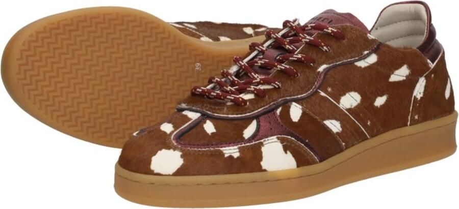 Piedi Nudi Imola Sneakers Laag middel bruin - Foto 6