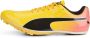PUMA Evospeed Sprint 14 Voetbalschoenen Sportwear Volwassen - Thumbnail 3