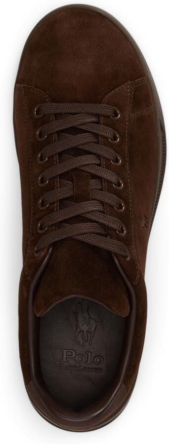 POLO RALPH LAUREN Ralph Lauren Lage Sneakers Heren Hrt Court Iii Low Top Lace Suède Bruin - Foto 4