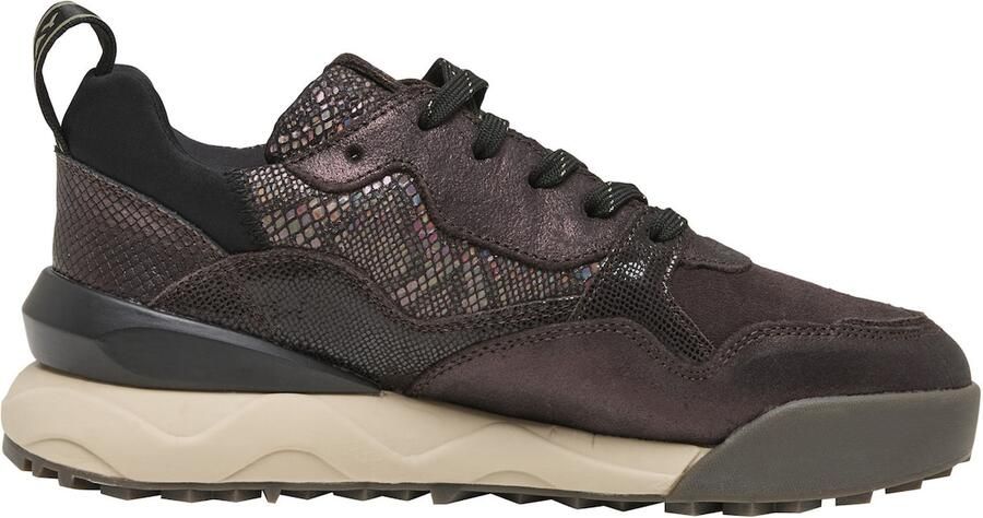 REPLAY Sneakers laag 'Field' donkerbruin - Foto 4
