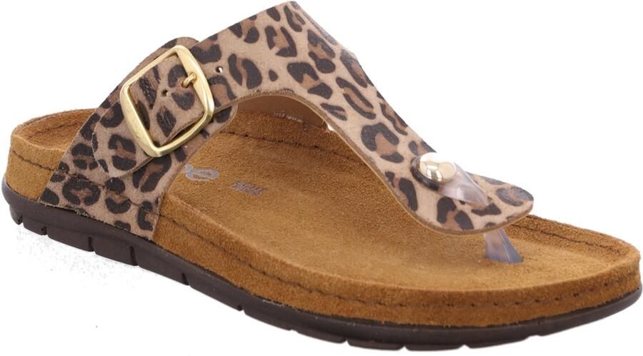 Rohde 5891 18 Teenslippers Bruin Panterprint Suede Dames- Beige - Foto 3