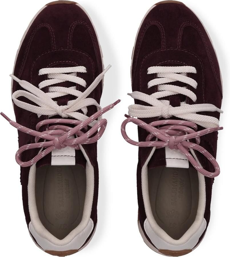 SALAMANDER Sneakers laag bordeaux - Foto 2
