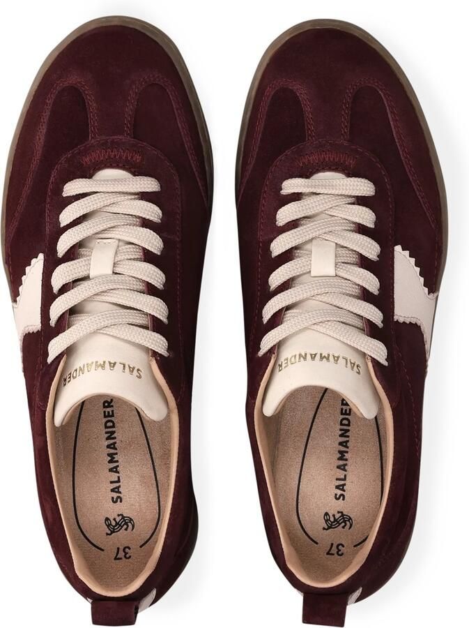 SALAMANDER Sneakers laag bordeaux offwhite - Foto 2