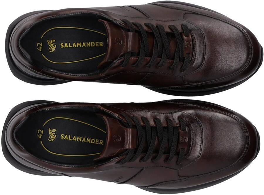 SALAMANDER Sneakers laag chocoladebruin - Foto 2