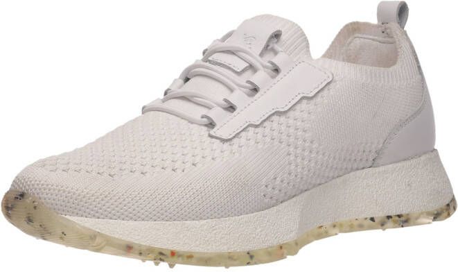Salamander Sneakers laag