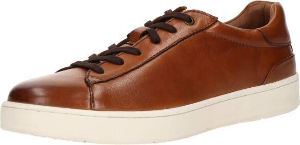 Salamander Sneakers laag