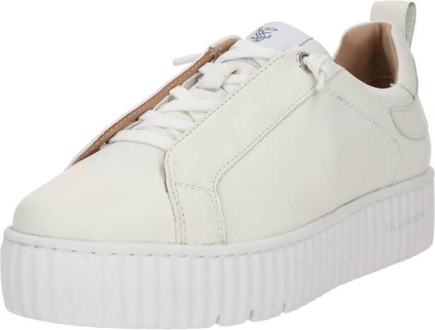 Salamander Sneakers laag
