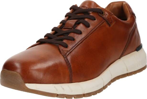 Salamander Sneakers laag