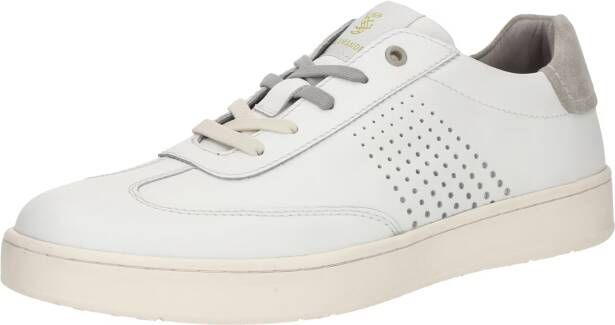 Salamander Sneakers laag