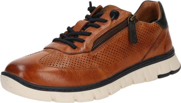 Salamander Sneakers laag