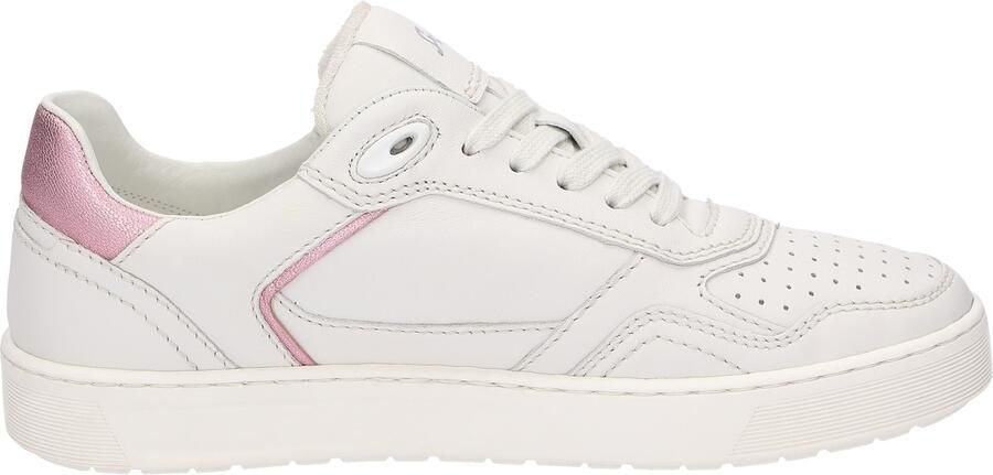 SIOUX Sneakers laag 'Tedroso' zilver natuurwit - Foto 10
