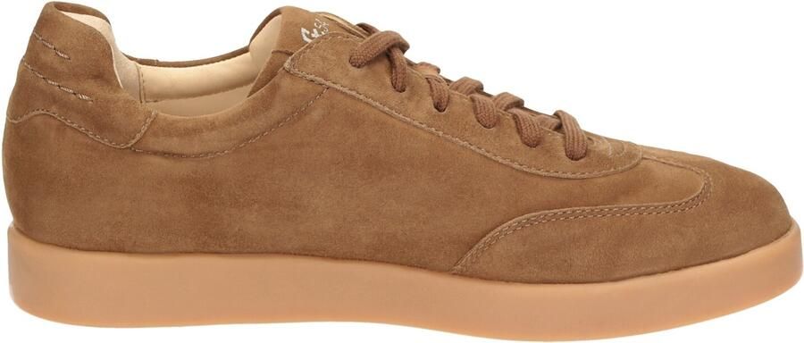 SIOUX Sneakers laag ' Melosana-704 ' bruin - Foto 5
