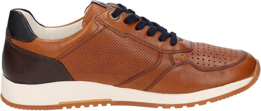 SIOUX Sneakers laag 'Rojaro-718' bruin zwart - Foto 5