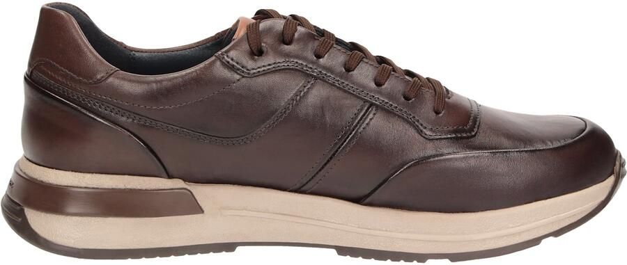 SIOUX Sneakers laag ' Rojaro-720 ' donkerbruin - Foto 5
