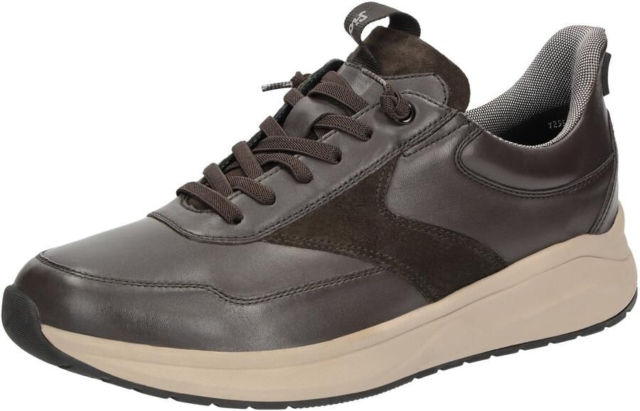 SIOUX Sneakers laag ' Tasulio-703-J ' donkerbruin