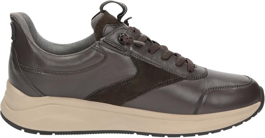 SIOUX Sneakers laag ' Tasulio-703-J ' donkerbruin - Foto 5