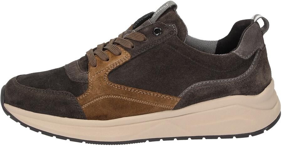 SIOUX Sneakers laag 'Tasulio' bruin donkergrijs - Foto 5