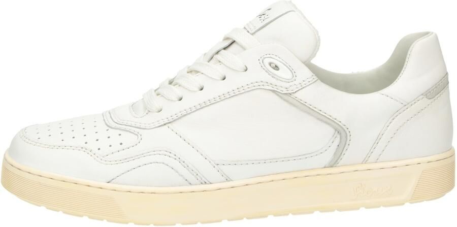SIOUX Sneakers laag ' Tedroso-704 ' wit - Foto 3