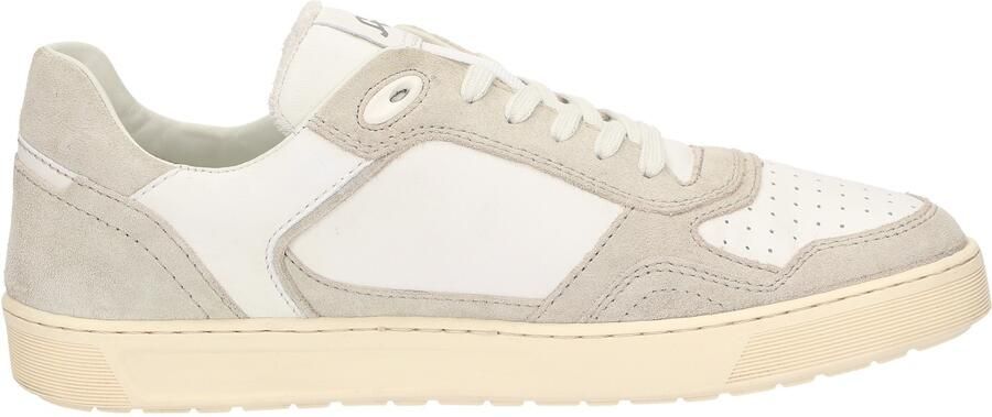 SIOUX Sneakers laag 'Tedroso-704' zilvergrijs stone grey