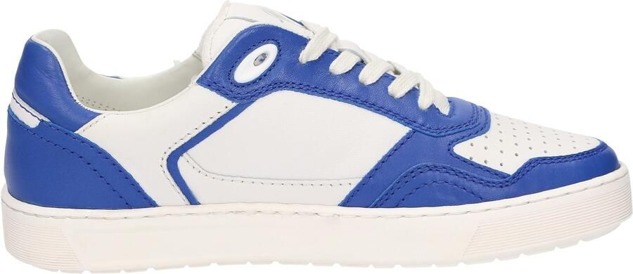 SIOUX Sneakers laag 'Tedroso' blauw wit - Foto 5