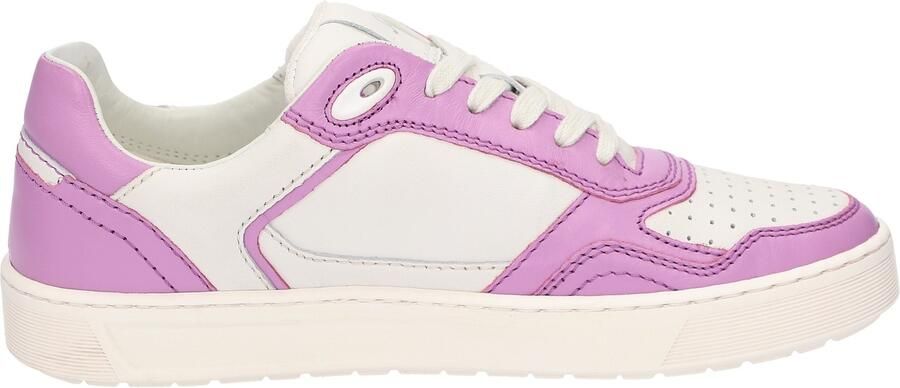 SIOUX Sneakers laag 'Tedroso' lila offwhite - Foto 5