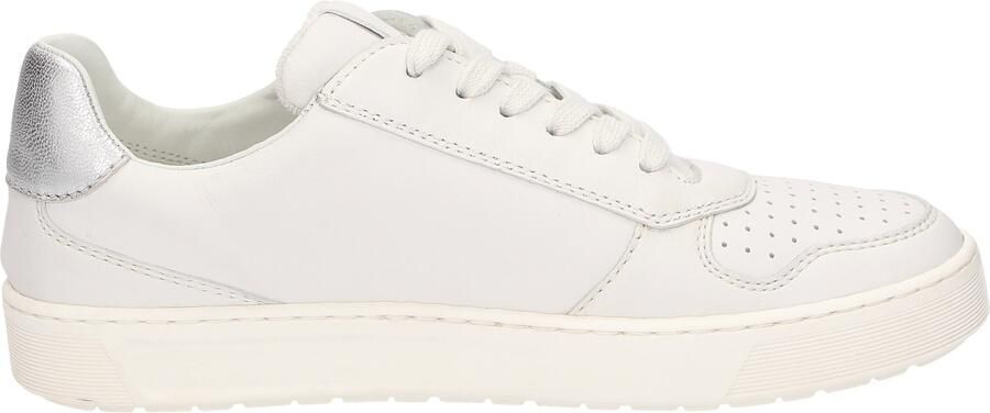 SIOUX Sneakers laag 'Tedroso' zilver natuurwit - Foto 6