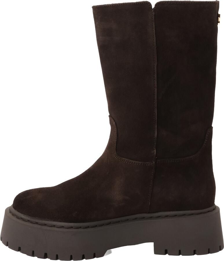 STEVE MADDEN Enkellaarsjes 'Soleil' donkerbruin