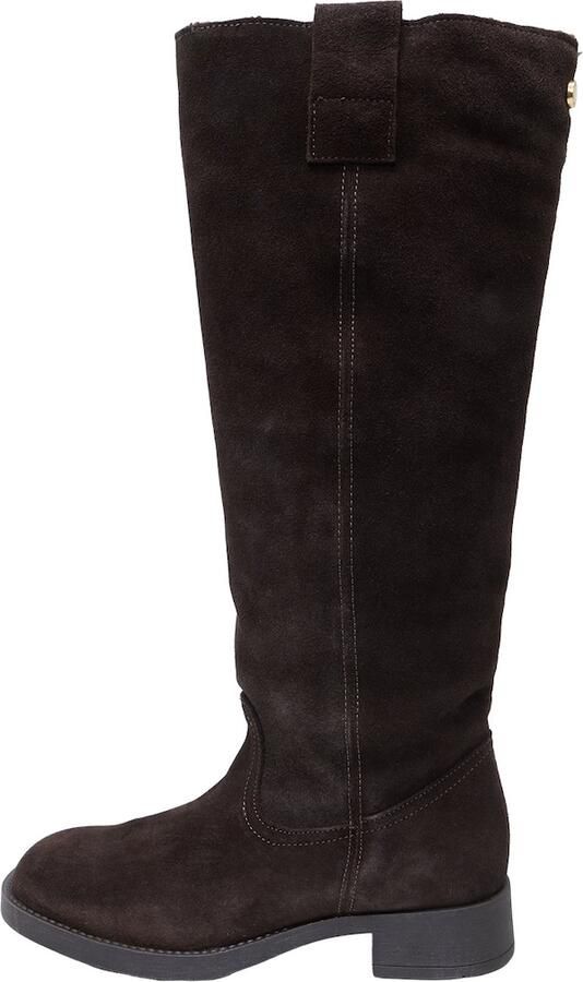 STEVE MADDEN Laarzen 'Zola-F' bruin