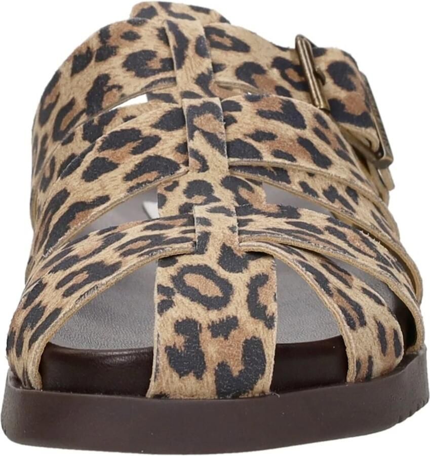 Steve Madden Mamba suède clogs met panterprint beige zwart - Foto 8