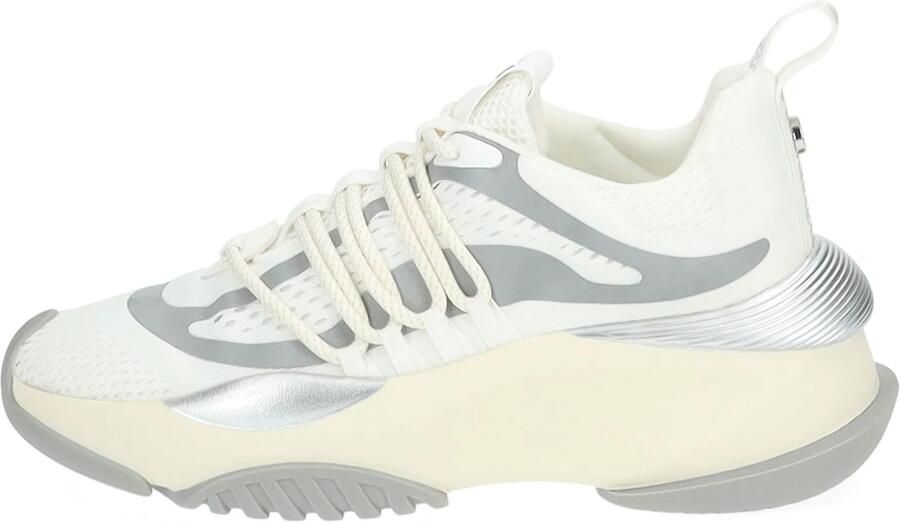 STEVE MADDEN Sneakers laag grijs wit - Foto 6