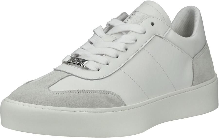 STEVE MADDEN Sneakers laag lichtgrijs wit