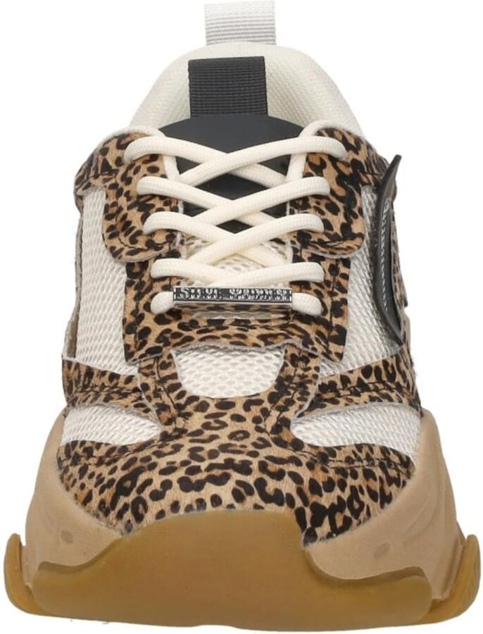 STEVE MADDEN PossessionL-E Leopard Beige Mesh Lage sneakers Dames - Foto 3