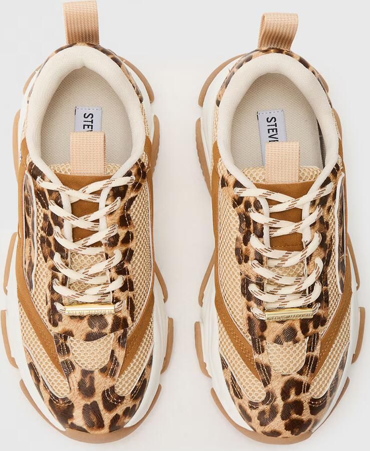 STEVE MADDEN Sneakers laag 'POSSESSION-E' sepia cappuccino donkerbruin - Foto 5
